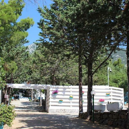 Camping Car Palmasera カーラゴノネ エクステリア 写真